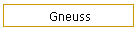 Gneuss