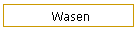 Wasen