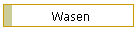 Wasen